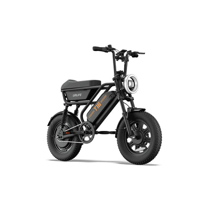 T16 Electric Bicycle, Fat Tyre, 25kmh, 250W Motor, 48V 13Ah Battery, Adult All-Terrain E-Bike
