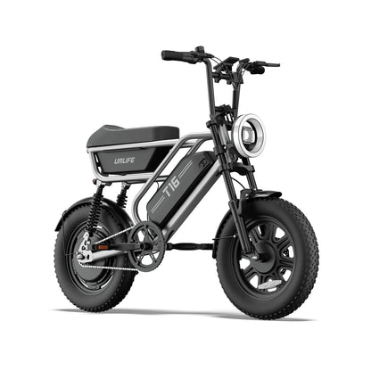 T16 Electric Bicycle, Fat Tyre, 25kmh, 250W Motor, 48V 13Ah Battery, Adult All-Terrain E-Bike